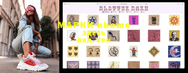 шишки Белая Холуница
