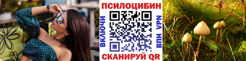 Псилоцибиновые грибы Psilocybe  Ленинградская 